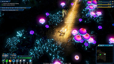 Screenshot 15